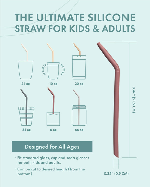 Silicone Straw set – Haven and Co