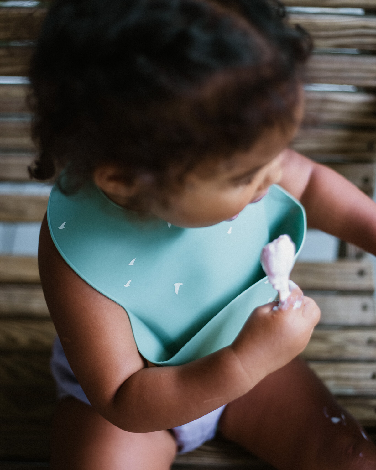 Silicone Bib Pack 2 - Cosmos/Nightingale